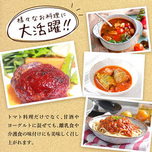 定期便 6ヶ月 トマトピューレ 380g×1本 トマトの一番星ピューレ トマトの一番星ピューレ トマト ピューレ とまと 五つ星ひょうご 無添加 スパゲッティ スパゲティ パスタ ぱすた リゾット スープ イタリアン 兵庫県 加西市