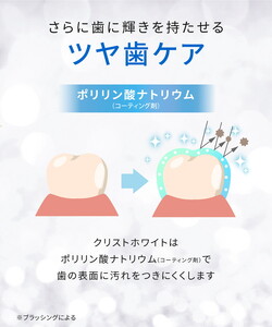 【6ヵ月定期便】ホワイトニング 歯磨き粉 クリストホワイト プレミアムミント味 ホワイトエッセンス | 定期便 6か月 ポリリン酸ナトリウム ナノプラチナ黄ばみ ヤニ取り 茶渋 美白 自宅 簡単 歯 歯科 歯医者 歯磨き ブレスケア