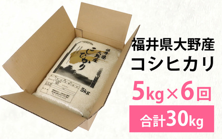【先行予約】【6ヶ月定期便】【令和8年度産 新米】福井県大野産コシヒカリ（白米）5kg×6回 計30kg [C-094001]