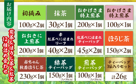 亀山茶 12種詰合せ（初摘み・煎茶・抹茶・紅茶・ほうじ茶・番茶）/ 茶 ちゃ お茶 おちゃ 緑茶 りょくちゃ 日本茶 茶葉 煎茶 ティーバック ティーパック 紅茶 抹茶 / 亀山市 / 伊達丸亀製茶[AMAH003]