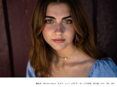 SIGMA 24-70mm F2.8 DG DN II Art【Lマウント】
