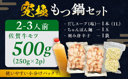 何度食べても飽きない美味しさ！こだわり 佐賀牛100% もつ鍋セット 500g(250g×2) 2~3人前 スープ・ちゃんぽん麺付 ホルモン 小腸 吉野ヶ里町/やきとり紋次郎[FCJ100]