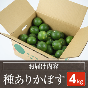 ＜先行予約受付中！2026年8月下旬以降順次発送予定＞おもとの丘のかぼす(約4kg)かんきつ 柑橘 期間限定 【111300201】【未来農林】