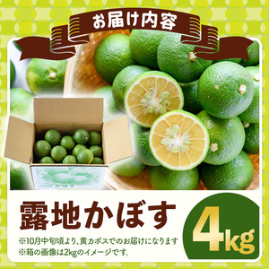 ＜先行予約受付中！2026年8月上旬以降順次発送予定＞露地カボス(約4kg)かぼす カボス 柑橘 特産品 大分県産【107100303】【あいはな農園】