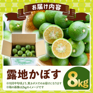 ＜先行予約受付中！2026年8月上旬以降順次発送予定＞露地カボス(約8kg)かぼす カボス 柑橘 特産品 大分県産【107100703】【あいはな農園】