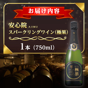 安心院スパークリングワイン 極果(熟成白) (750ml)酒 お酒 ワイン スパークリングワイン ぶどう 葡萄【107305200】【時枝酒店】