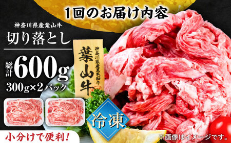 【全3回定期便】葉山牛 切り落とし300g×2パック 小分け 牛肉 切り落とし 横須賀 冷凍 計600g【株式会社羽根】 [AKAG027]
