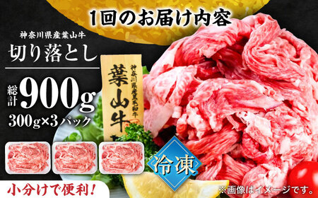 【全3回定期便】葉山牛 切り落とし300g×3パック 小分け 牛肉 切り落とし 横須賀 冷凍  計900g【株式会社羽根】 [AKAG030]