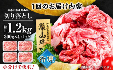 【全12回定期便】葉山牛 切り落とし300g×4パック 小分け 牛肉 切り落とし 横須賀 冷凍  計1.2kg【株式会社羽根】 [AKAG035]