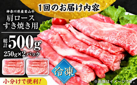 【全12回定期便】葉山牛肩ロースすき焼き用 250g×2パック 小分け 牛肉 すきやき 冷凍  計500g【株式会社羽根】 [AKAG038]