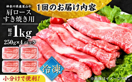 【全12回定期便】葉山牛肩ロースすき焼き用 250g×4パック 小分け 牛肉 すきやき 冷凍  計1.0kg【株式会社羽根】 [AKAG041]