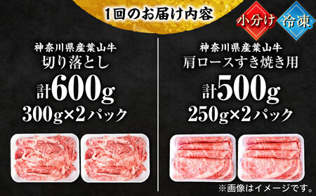 【全6回定期便】葉山牛満腹セット（肩ロースすき焼用250g×2＋切落し300g×2） 小分け 牛肉 すきやき 冷凍 切り落とし 横須賀 計1.1kg【株式会社羽根】 [AKAG043]