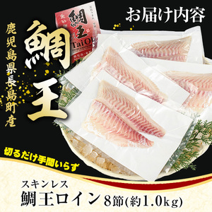 長島町特産「鯛王」スキンレスロイン 8節入り (約1.0kg) ＼カットするだけ簡単！新鮮なお刺身が楽しめる／ 産地直送 新鮮 旨味が抜群の 長島町 特産品 ブランド 刺身 鯛めし 鯛茶漬け 鯛しゃぶ 鯛刺身 鮮魚 冷蔵 【JFA】jfa-7122