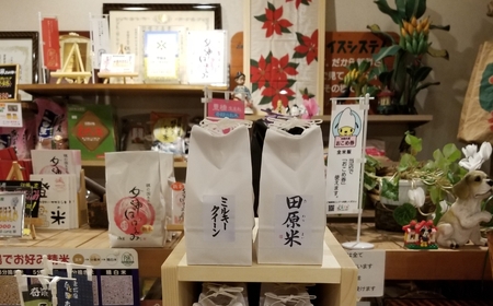 令和7年度産ミルキークイーン2kg×3  6kg 希少米 米問屋直送 注文後に精米