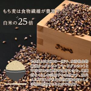 近江のもち麦１kg３袋｜野洲市 もち麦 滋賀産 健康食材 ダイエット ビタミン ミネラル 便秘解消 腸内環境 美容 健康志向 料理 レシピ お取り寄せ 通販 ふるさと納税 ｜
