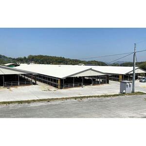 近江牛 澤井牧場 サイコロステーキ 500ｇ