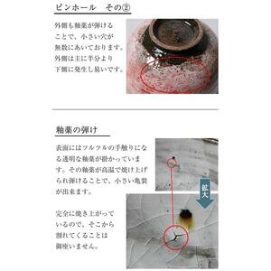 信楽焼 桃花丼ぶり 陶器