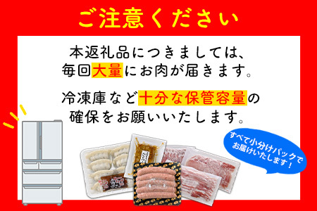 【発送月固定定期便】どどーんと黒豚1頭(※総計55kg)全4回【配送不可地域：離島】【4081682】