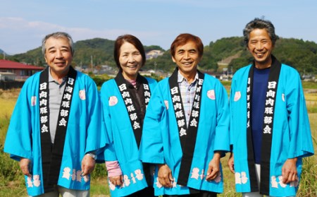 日向豚 盛りだくさんセット 1.5kg [JAみやざき 日向肉豚部会 宮崎県 日向市 452060632]