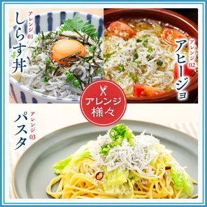 【 しらす 】 釜揚げしらす定期便 5ヶ月