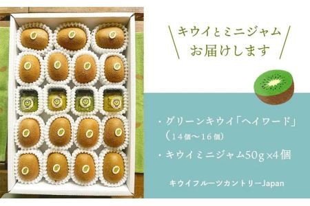 5886　キウイ＆ジャム　掛川産グリーンキウイ14～16個・キウイジャム×4個(ギフト箱入り)【配送不可地域：離島・北海道・沖縄県・四国・九州】【1603122】