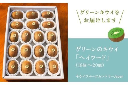 5885　掛川産グリーンキウイ「ヘイワード」18～20個(ギフト箱入り)【配送不可地域：離島・北海道・沖縄県・四国・九州】【1603138】