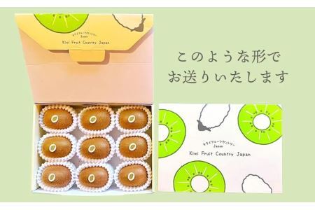 5882　掛川産グリーンキウイ「ヘイワード」8～9個(ギフト箱入り)【配送不可地域：離島・北海道・沖縄県・四国・九州】【1603135】