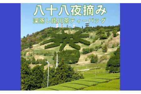 八十八夜摘み深蒸し掛川茶ティーバッグ2g×20入×4袋セット【配送不可地域：離島・沖縄県】【1091799】