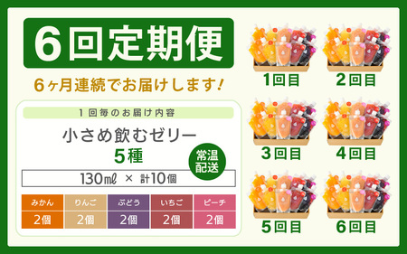 定期便 ≪6ヶ月連続お届け≫ 小さめ飲むゼリー 5種 10個入×6回  ゼリー 定期便  [m01-i001]