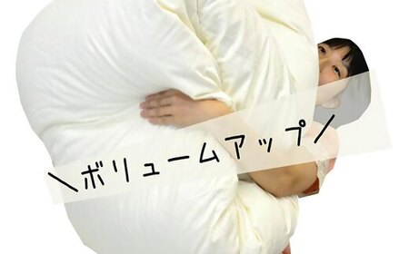 ザ・羽毛ふとん/立体キルト 布団 睡眠 寝具 ふとん【 251-000337-10】【21-1】
