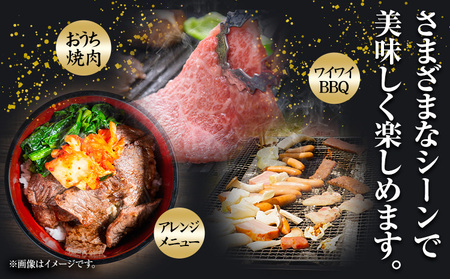 訳あり 博多和牛 A5 A4 焼肉用 500g 株式会社MEAT PLUS《30日以内に出荷予定(土日祝除く)》福岡県 鞍手郡 小竹町 博多和牛 和牛 牛肉 肩ロース バラ カルビ 焼き肉 バーベキュー