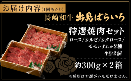 【全6回定期便】長崎和牛出島ばらいろ 特選焼肉セット（ロース カルビ カタロース モモ のいずれか2種類）約300g×2[RCI047] 長崎和牛 焼肉 長崎和牛 焼肉九州 長崎