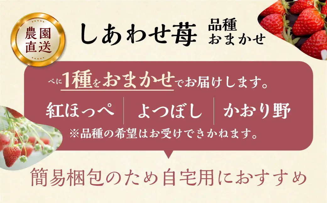 【定期便5回】【2027年1月より発送開始】 いちご贅沢 定期便 5回 紅ほっぺ 1kg ( 250g × 4p ) しあわせ苺 サイズ バラバラ 訳あり 訳アリ 含む 農園直送 フルーツ 苺 イチゴ 人気 本巣市 果物 先行予約 family農園watanabe [mt526_26] family農園watanabe