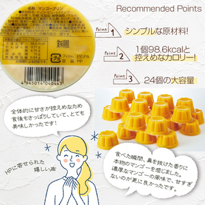 濃厚マンゴープリン 85g×24個 手土産 おやつ デザート スイーツ こだわり 南国 トロピカル フルーツ 果物 F21K-064