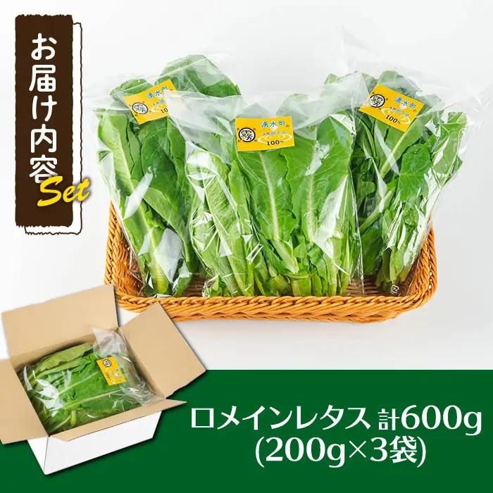 《先行予約受付中！2026年9月以降順次発送》お肉が別腹になるレタス 計600g (200g×3袋) 国産 九州産 鹿児島県産 湧水町産 野菜 やさい レタス ロメインレタス 焼肉 焼き肉 バーベキュー BBQ 冷しゃぶ サラダ 水耕栽培【霧島製萌】_y470