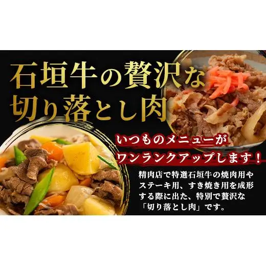 石垣牛・切り落とし 500g 　SI-88