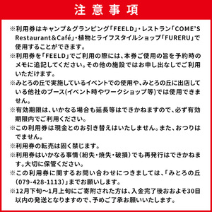 遊んで、食べて、泊まれる！「みとろの丘」ふるさと納税限定利用券(3000円×10枚)《 体験 自然 宿泊券 チケット クーポン 》【2412L14802】