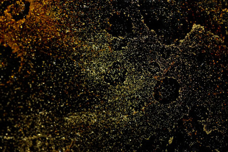 はし 箸 日本製 蒔絵御箸 あかい時 22.5cm 六角形 1膳 [三田村 有純 埼玉県 小川町 248]