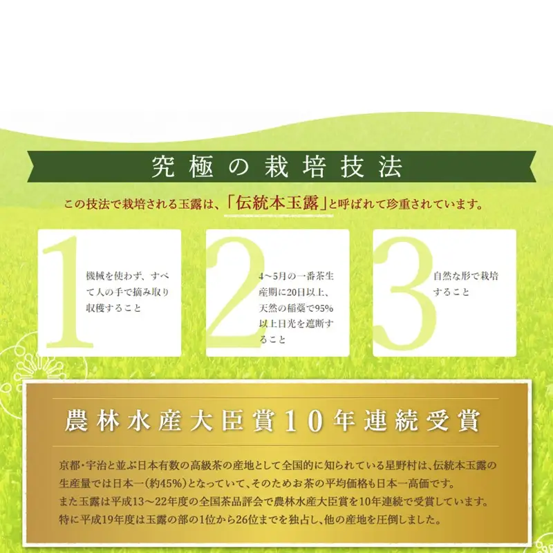 八女星野茶 星乃翁 伝統本玉露150g 特上煎茶150g【E-051】