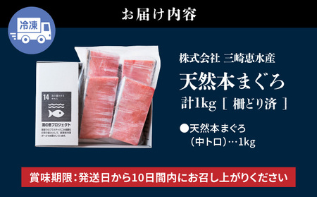 まぐろ専門の老舗問屋からお届け！とろける！上質 天然 本まぐろ 中トロ 1kg 分 M020-012 冷凍 マグロ 【 まぐろ専門の卸問屋です 】