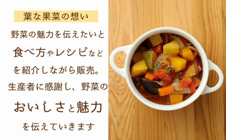 野菜ソムリエがセレクト!「うすき旬のお野菜セット」