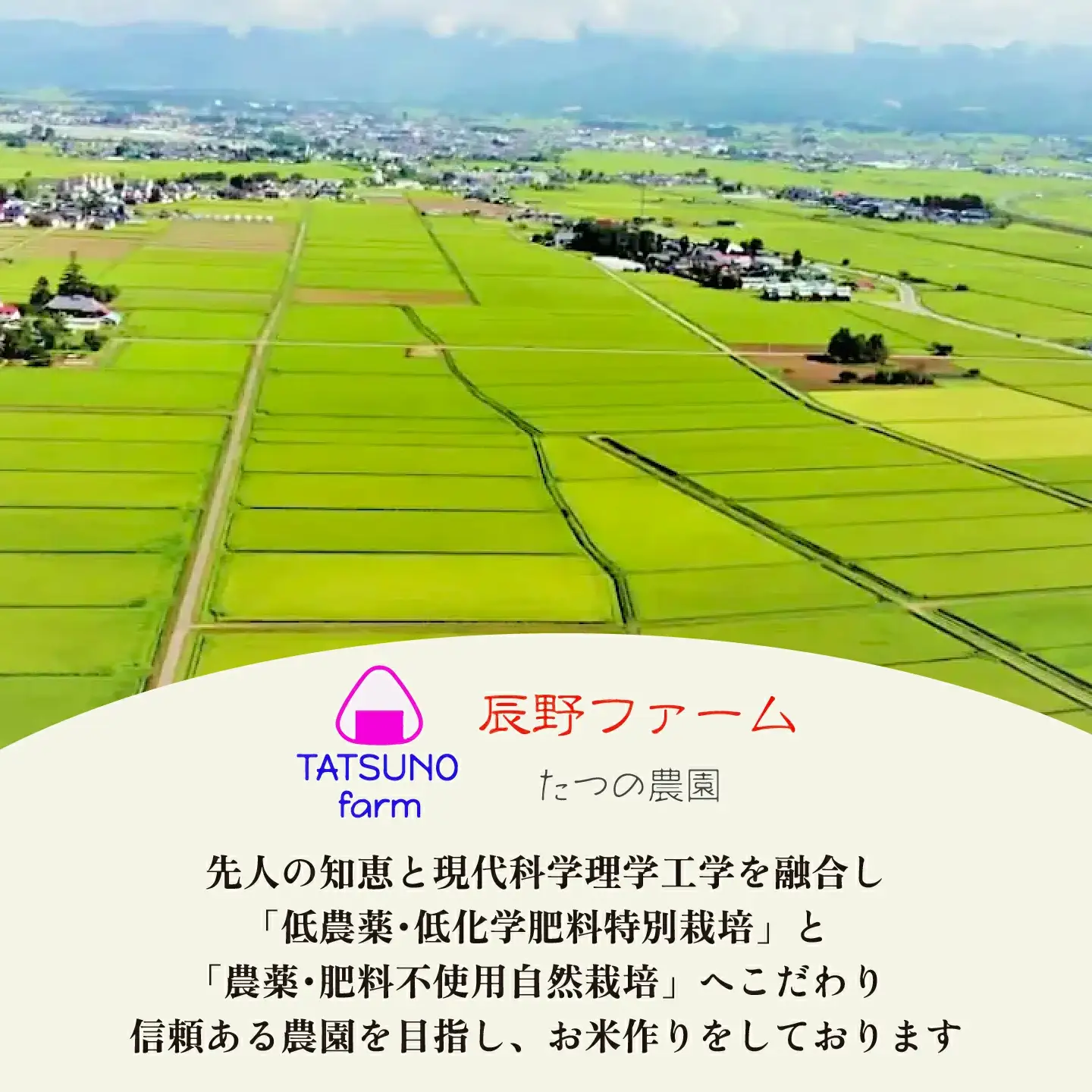 令和7年産 特別栽培米「福 笑い」 5kg 白米 福島県トップブランド米 美米郷会津柴城米【07208-0440】
