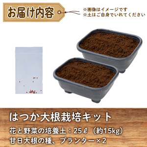 はつか大根栽培キット 甘日大根 二十日大根 家庭菜園 庭 ベランダ 手軽 栽培野菜 大分県 佐伯市 【HD237】【さいき本舗 城下堂】