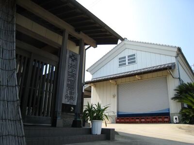 井上味噌醤油 生味噌300g 4種セットとだしパック　鳴門　老舗　井上味噌　だしパック　セット　ギフト　母の日　父の日　敬老の日　お歳暮　天然醸造　味噌