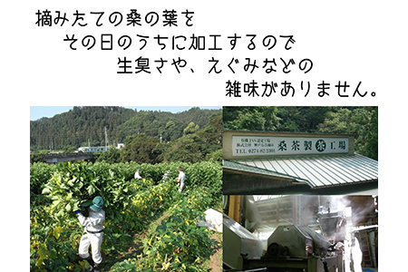 【有機 桑の葉まっ茶】ノンカフェイン プレママ 糖質制限 食物繊維 ダイエット 飲料 オーガニック ハーブティー マルベリー F21K-027