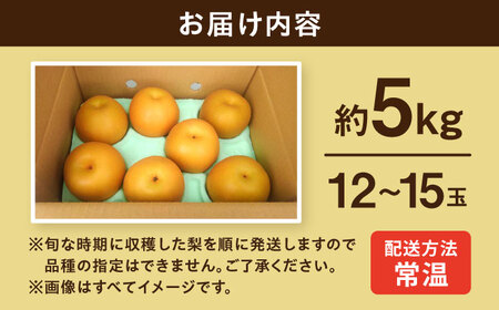 【2026年9月～発送】長崎県産 朝採り旬の梨 約5kg 12玉～15玉 / 梨 ナシ なし フルーツ 果物 / 大村市 / 産直松吉 [ACZC007]