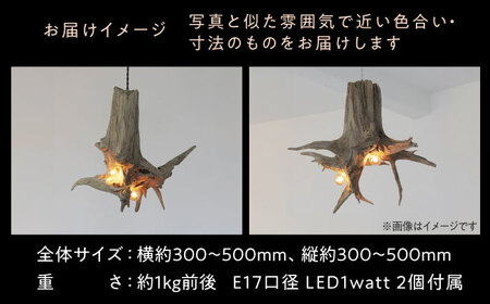 W Bulb Roots pendantlight ペンダントライト 糸島市 / WOOD'ARBRE(ウッドラヴル)【TIME】 インテリア 照明 ライト [ADC004]