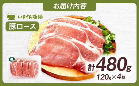 一貴山豚 ロースとんかつ・トンテキ用 計480g(120g×4枚) 糸島市 / いきさん牧場 豚肉 冷凍 [AGB030]