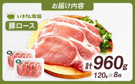 一貴山豚 ロースとんかつ・トンテキ用 計960g(120g×8枚) 糸島市 / いきさん牧場 豚肉 冷凍 [AGB031]