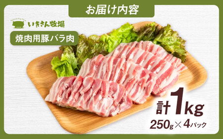 一貴山豚 焼肉用バラ肉 計1kg(250g×4p) 糸島市 / いきさん牧場 豚肉 冷凍 [AGB035]